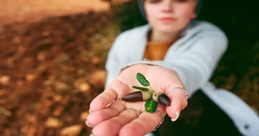 6 Reasons to start your garden from seed this year